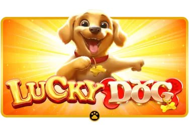 Starburst slot game interface on j200 showing reel layout and payout structure